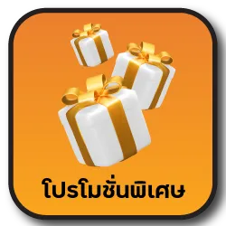 โปรโมชั่นพิเศษ MIXZEED